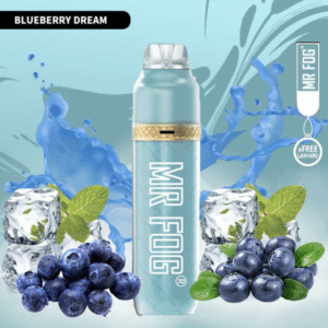 MR FOG BLUEBERRY DREAM – 3600 PUFFS