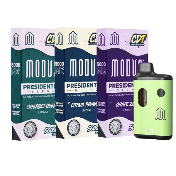Modus Presidential Blend Disposable